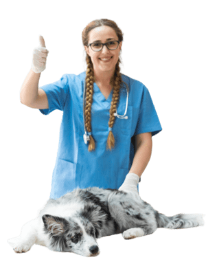 dct-pet-care-11-min