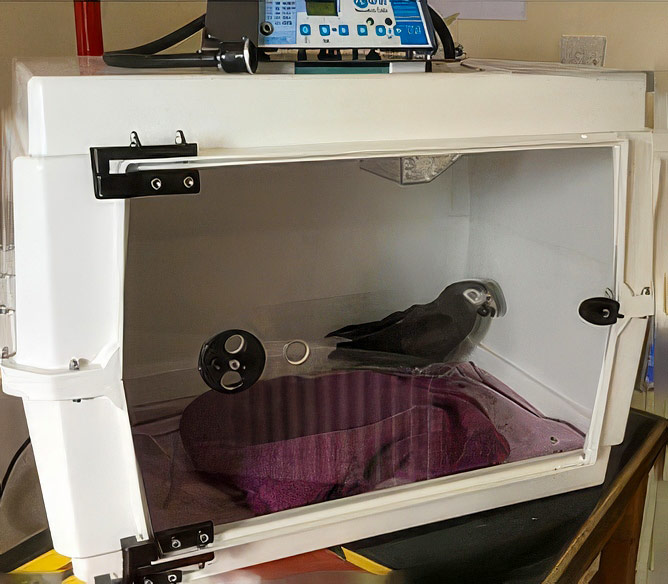 Facilities_8_Incubator-